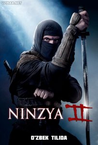 Ninzya 2 (2013)