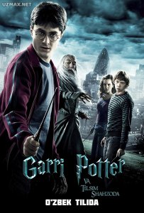 Garri Potter va Tilsim shahzoda (2009)