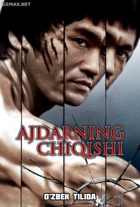Ajdarning chiqishi (1973)